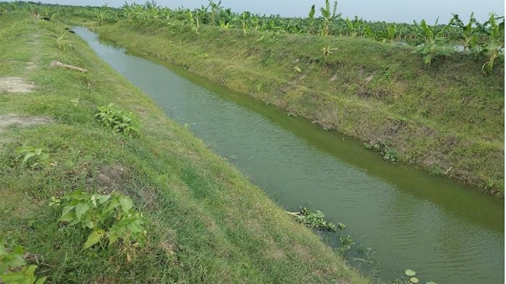 Irrigation helps produce 12.45 lakh tonnes additional crops in Rajshahi Irrigation helps produce 12.45 lakh tonnes additional crops in Rajshahi