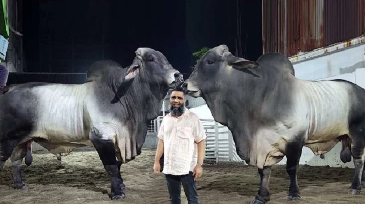 আলোচিত ব্রাহমা কেলেঙ্কোরি, এবার বিমানবন্দর কাস্টমসে দুদকের অভিযান আলোচিত ব্রাহমা কেলেঙ্কোরি, এবার বিমানবন্দর কাস্টমসে দুদকের অভিযান