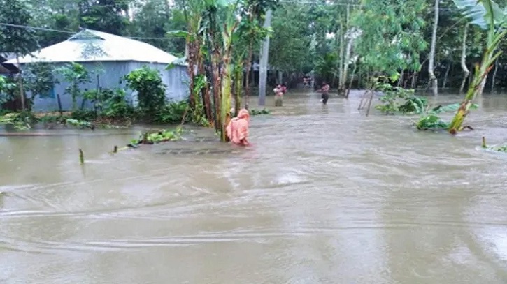বন্যায় রংপুরে ৩১৭ হেক্টর ফসল, ৪ কোটি টাকার মাছ ক্ষতিগ্রস্ত বন্যায় রংপুরে ৩১৭ হেক্টর ফসল, ৪ কোটি টাকার মাছ ক্ষতিগ্রস্ত