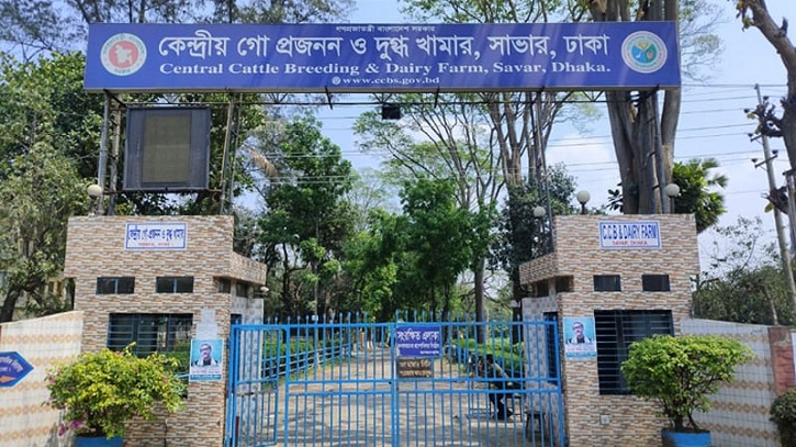 সাভারে কেন্দ্রীয় গো প্রজনন কেন্দ্রে দুদকের অভিযান