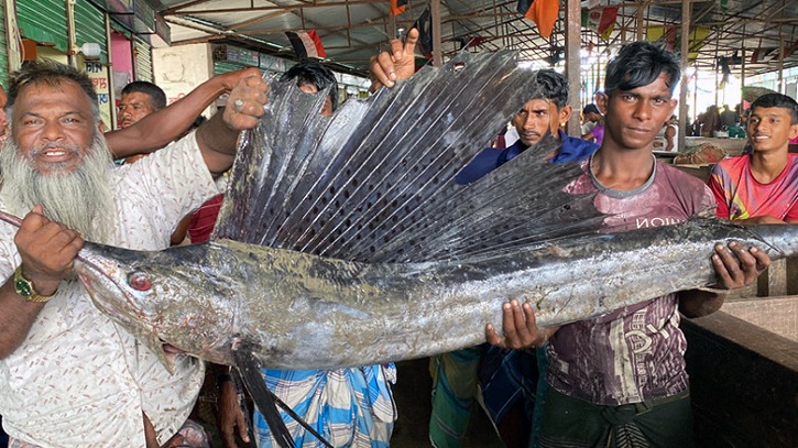 মেঘনা নদীতে জেলের জালে ধরা পড়ল ২৫ কেজির পাখি মাছ মেঘনা নদীতে জেলের জালে ধরা পড়ল ২৫ কেজির পাখি মাছ
