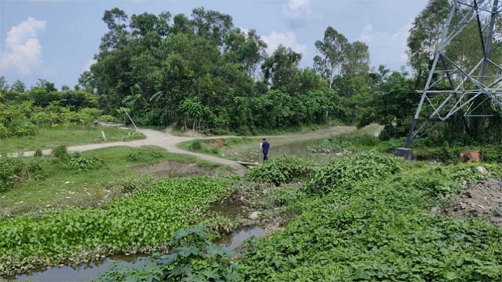 নদীর মুখে বাঁধ: রজতরেখার পানি প্রবাহ বন্ধ, বিপন্ন পরিবেশ