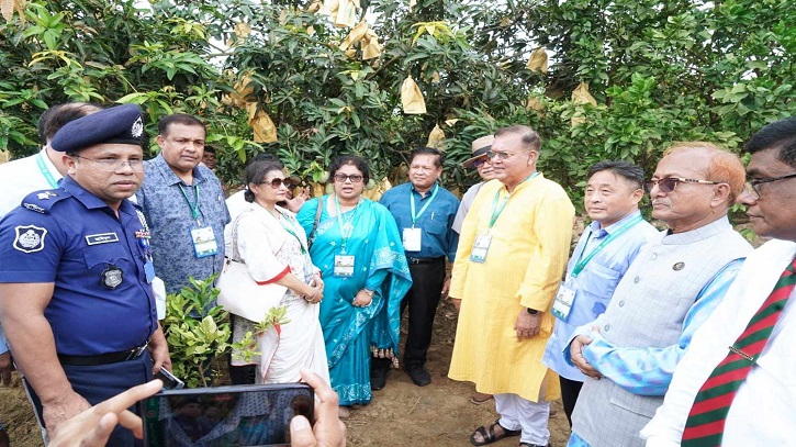 নিরাপদ আম উৎপাদন কার্যক্রম দেখে মুগ্ধ বিদেশি দূতরা