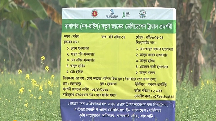 উচ্চ ফলনশীল সরিষার নতুন জাত উদ্ভাবন করেছে কৃষি গবেষণা ইনস্টিটিউট উচ্চ ফলনশীল সরিষার নতুন জাত উদ্ভাবন করেছে কৃষি গবেষণা ইনস্টিটিউট
