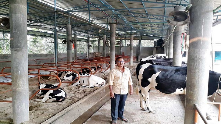 ব্যবসা করে হতাশাগ্রস্ত হয়ে ডেইরি খামারেই ভাগ্যবদল প্রবাস ফেরত মুক্তারের ব্যবসা করে হতাশাগ্রস্ত হয়ে ডেইরি খামারেই ভাগ্যবদল প্রবাস ফেরত মুক্তারের
