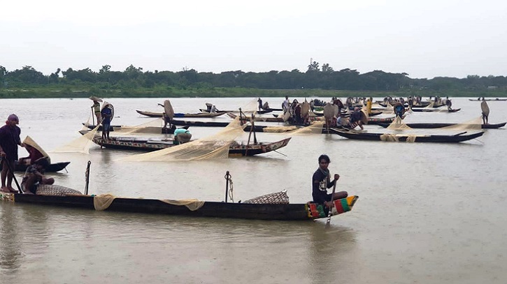 হালদায় মা মাছ রক্ষায় নজরদারি বাড়াল প্রশাসন হালদায় মা মাছ রক্ষায় নজরদারি বাড়াল প্রশাসন