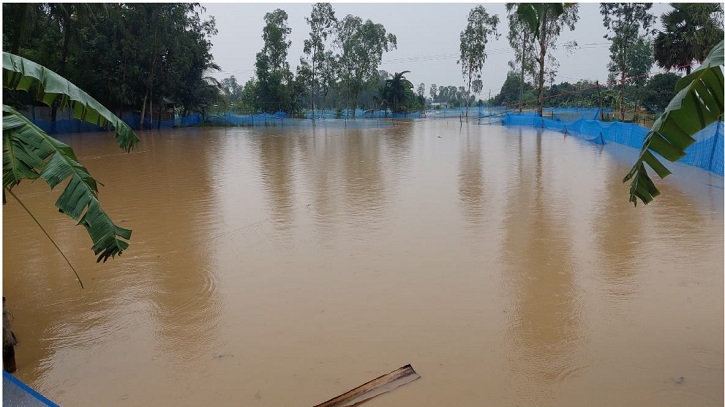 বন্যায় শেরপুরের কৃষি ও মৎস্য খাতে ক্ষতি ৬০০ কোটি