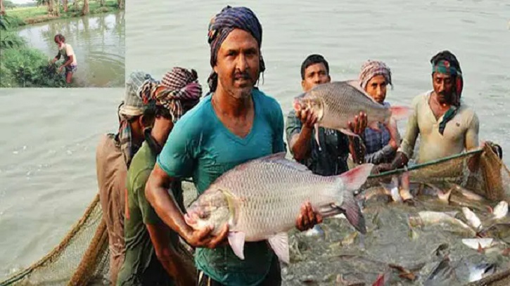 কম সময়ে লাভজনক পদ্ধতিতে মাছ চাষ, জেনে নিন কৌশল!