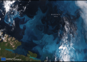 Sentinel-3 Captures Arctic Phytoplankton Bloom