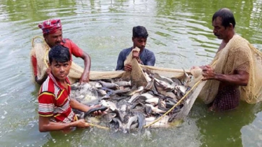 Monsoon Brings Major Opportunity for Fish Farming