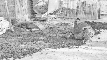 Women in Netrokona Thrive with Vermicompost Business