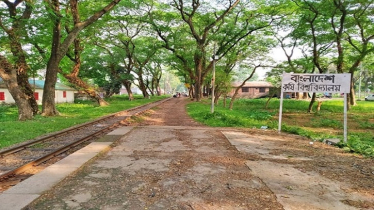 Train Kills 20 Research Sheep at BAU Campus