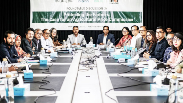 Experts Urge Price Commission to Protect Farmers’ Livelihoods