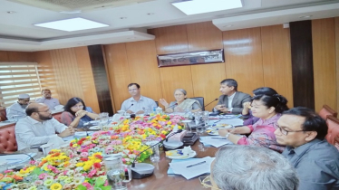 Action Plan Set to Limit Pesticide Use in Haor Areas