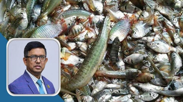 Expert Warns of Decline in Indigenous Fish Species