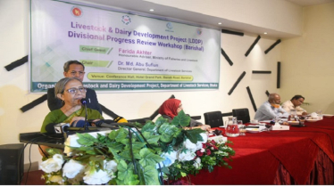 Adviser Stresses Food Safety Alongside Food Security
