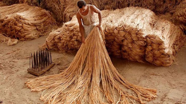 Major Push for Jute, Textile Revival in Bangladesh