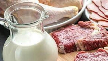 Govt to Boost Milk, Meat Output with Elite Bull Project