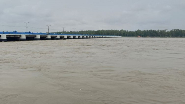 Heavy Rain Pushes Teesta to Danger Level in Dalia