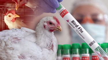 Scientists Warn Bird Flu Could Spark Silent Human Pandemic