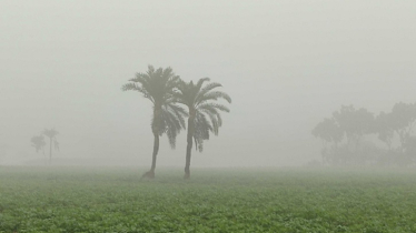 Cold Wave Intensifies in Chuadanga as Temperature Drops