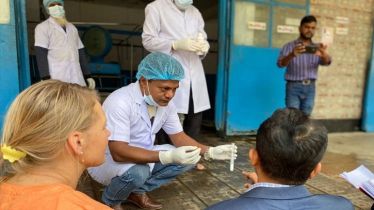 Danish Delegation Reviews Bangladesh’s Dairy Safety Measures