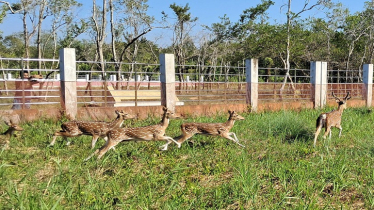 Sundarbans’ Alibanda Eco-Tourism Centre Opens to Visitors