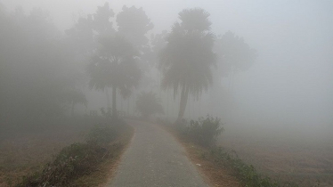 Cold Wave Grips Northern Bangladesh as Temps Drop Further