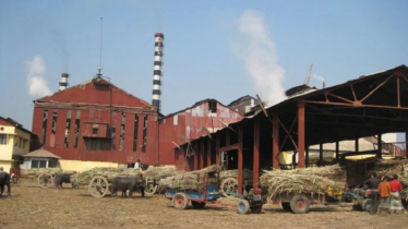 Bangladesh Sugar Industry Faces Decline, Import Dependence