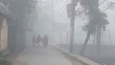 Dense Fog and Icy Winds Deepen Winter Misery in Panchagarh Dense Fog and Icy Winds Deepen Winter Misery in Panchagarh