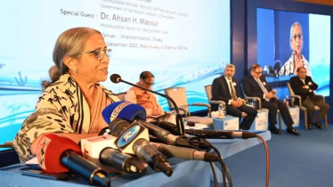 Bangladesh Urged to Protect Mangroves from Shrimp Farms