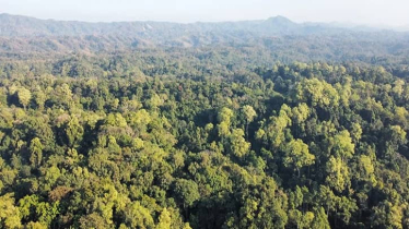 GEF Approves $9.2m Ecosystem Restoration Project in Bangladesh