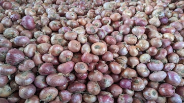 Govt Allows Limited Onion Imports to Stabilize Prices