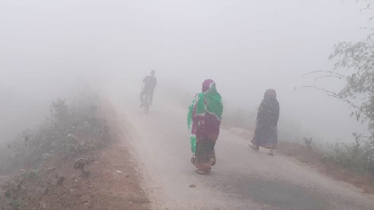 Cold Intensifies as Tetulia Records 11.7°C