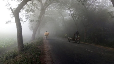 Chuadanga Shivers as Temperature Drops to 12.8°C