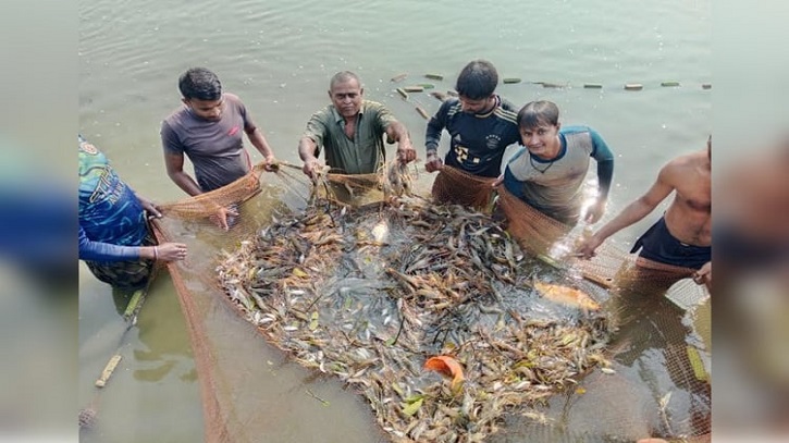 Cluster method becomes boon for many shrimp farmers in Khulna Cluster method becomes boon for many shrimp farmers in Khulna