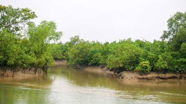 Sunderban famous for mangrove surroundings, all creeks and rivers Sunderban famous for mangrove surroundings, all creeks and rivers