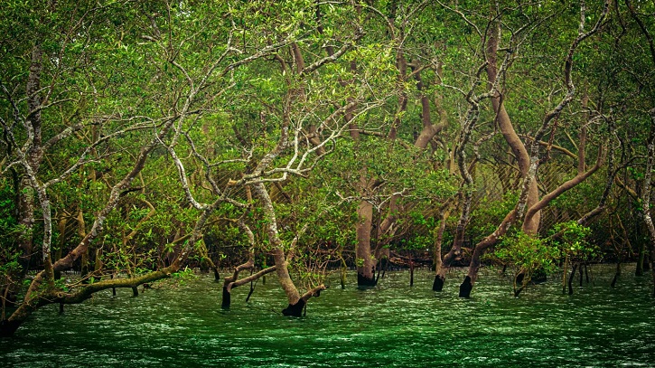 Eco-tourism supports conservation efforts, promotes environmental awareness Eco-tourism supports conservation efforts, promotes environmental awareness