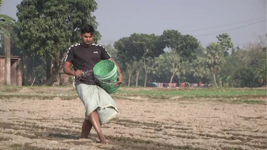 ৮৫০ কোটি টাকায় এক লাখ ১০ হাজার টন সার কিনবে সরকার