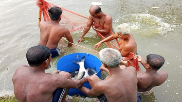 Retired Officer Revives Village with Fish Farming