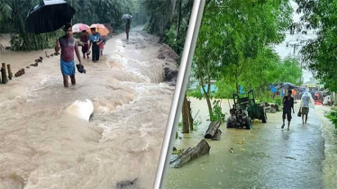 Feni Floods: Over 30 Villages Submerged as Embankments Breach