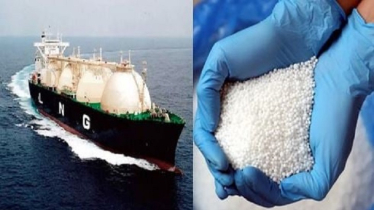 Govt Sanctions Fertilizer, LNG, Wheat, and Dal Imports