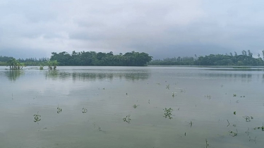 Farmers at Risk as Rain Submerges 72,000+ Hectares of Cropland