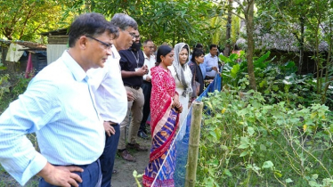 Call to Scale Up Proven Climate Adaptation Models