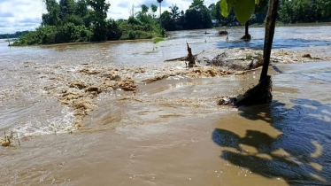 Flood Threat Looms in Feni as Water from India Swells Rivers