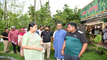 Plant Trees to Save Nature and Economy, Says Rizwana Hasan