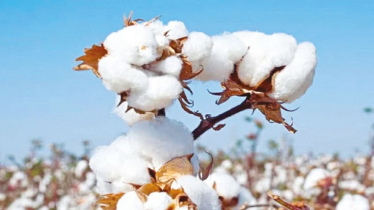 Govt Lifts Source Tax on Cotton and Textile Raw Materials