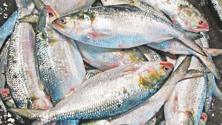Stormy Weather Stalls Hilsa Season in Barguna’s Patharghata Stormy Weather Stalls Hilsa Season in Barguna’s Patharghata