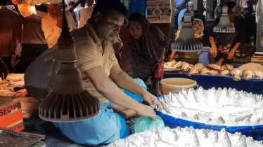 নিষেধাজ্ঞা শেষে ভোরের আলো ফোটার আগেই,বাগেরহাটের কেবি বাজারে হইচই