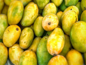 আম চাষের জন্য বাংলাদেশি চাষীদের বিনামূল্যে জমি দেবে আলজেরিয়া